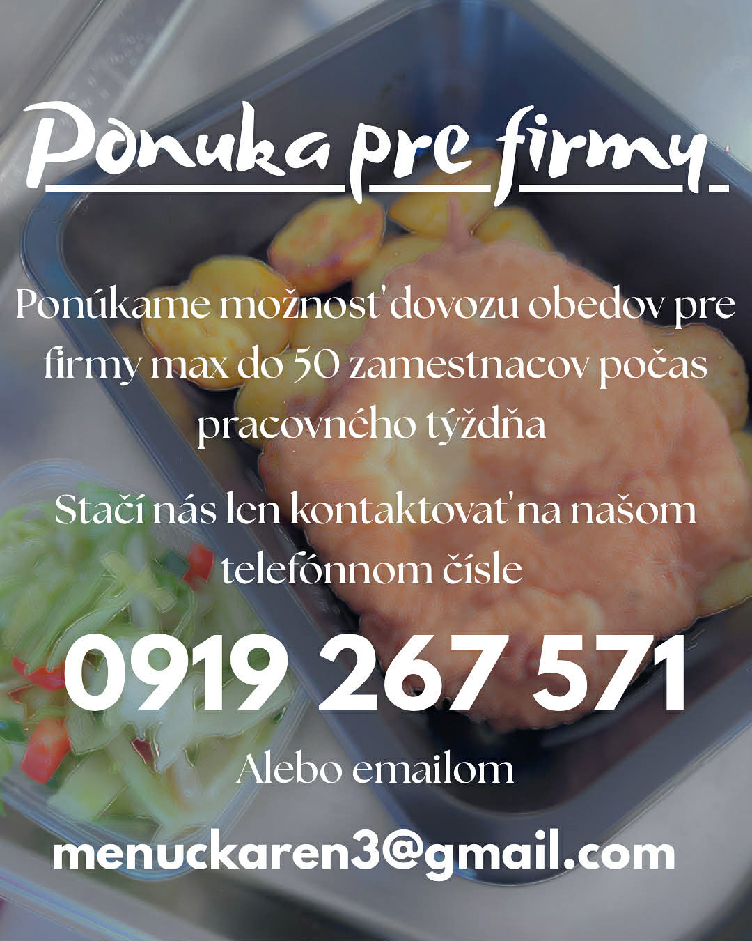 Menučkáreň Levice - ponuka pre firmy.