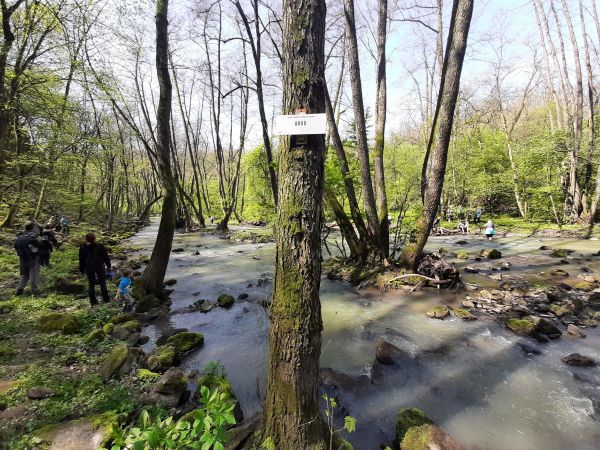 Slávnostne otvorili severnú časť náučného chodníka v Horšianskej doline (foto a video) Slávnostne otvorili severnú časť náučného chodníka v Horšianskej doline (foto a video)