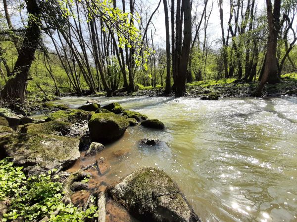 Slávnostne otvorili severnú časť náučného chodníka v Horšianskej doline (foto a video) Slávnostne otvorili severnú časť náučného chodníka v Horšianskej doline (foto a video)