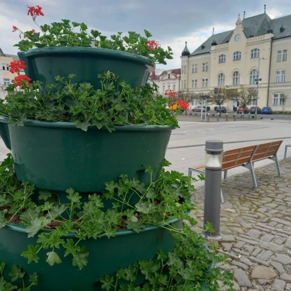 Červené muškáty v závesných kvetináčoch na stĺpoch a kvetinové veže v centre Levíc stálo mesto 11.500 eur