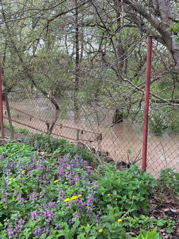 V okrese Levice sa kvôli búrkam dvíhajú hladiny tokov, potok Sikenica niekoľkonásobne stúpol V okrese Levice sa kvôli búrkam dvíhajú hladiny tokov, potok Sikenica niekoľkonásobne stúpol