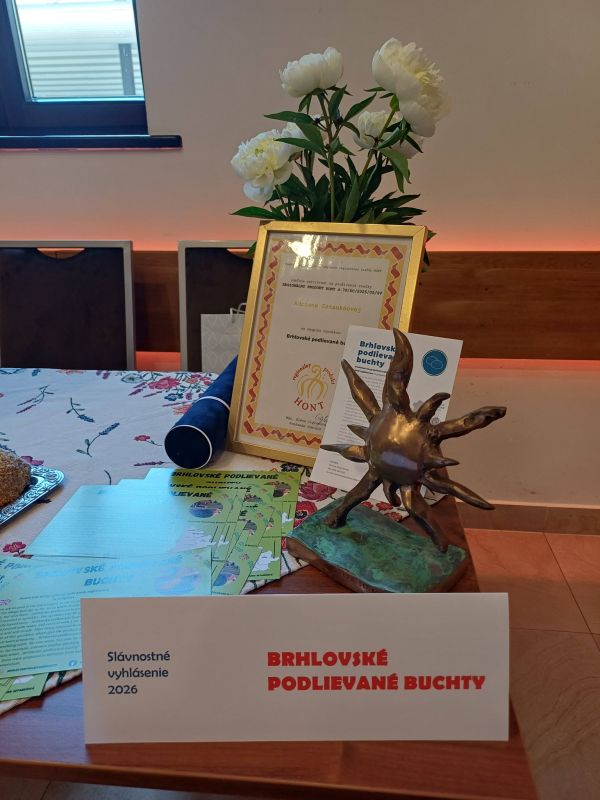 Brhlovské podlievané buchty sú oficiálne zapísané do Reprezentatívneho zoznamu nehmotného kultúrneho dedičstva Slovenska Brhlovské podlievané buchty sú oficiálne zapísané do Reprezentatívneho zoznamu nehmotného kultúrneho dedičstva Slovenska