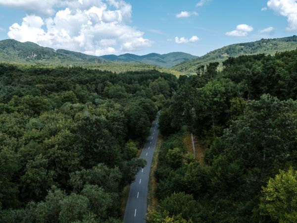 Opravujú dôležitú komunikáciu od obce Drženice, časť Kmeťovce po hranicu s Banskobystrickým krajom Opravujú dôležitú komunikáciu od obce Drženice, časť Kmeťovce po hranicu s Banskobystrickým krajom