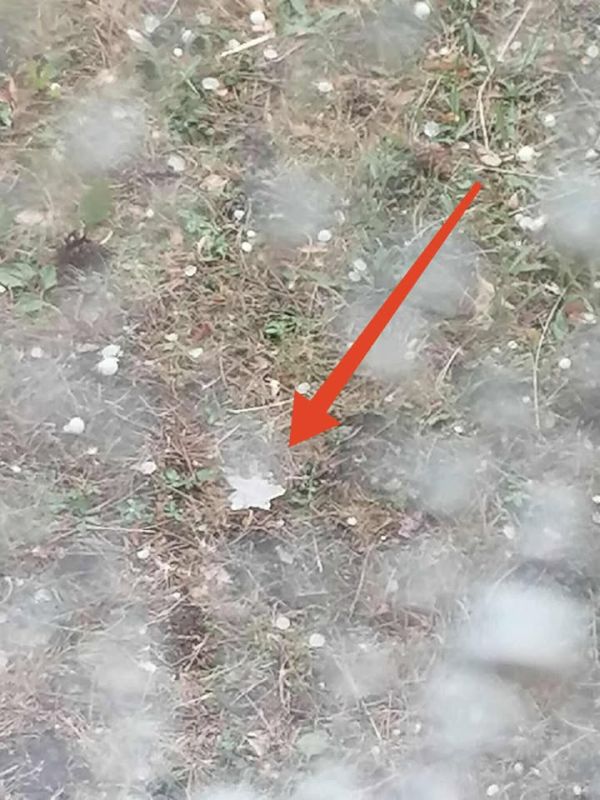 V okolí Šiah padali aj 5 centimetrov veľké krúpy V okolí Šiah padali aj 5 centimetrov veľké krúpy