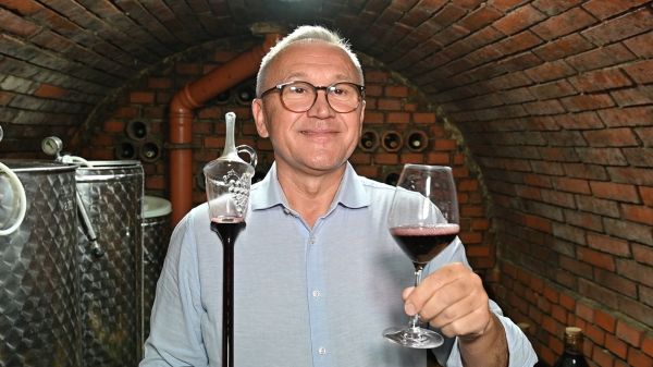 Vinári z Krížneho vrchu pri Leviciach - Štefan Adam (video) Vinári z Krížneho vrchu pri Leviciach - Štefan Adam (video)