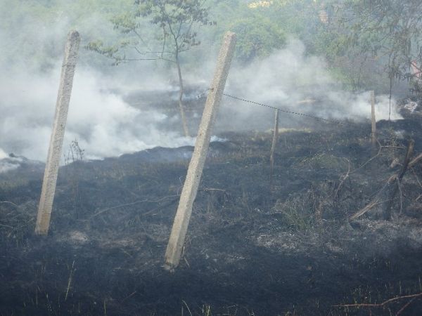 Požiar suchého porastu medzi obcami Tekovské Lužany a Čaka zasiahol aj miestne vinice