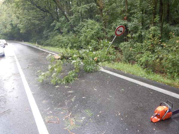 Medzi obcami Veľký Ďur a Čifáre spadol na prechádzajúce osobné auto strom