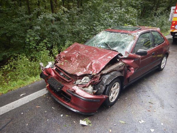 Medzi obcami Veľký Ďur a Čifáre spadol na prechádzajúce osobné auto strom