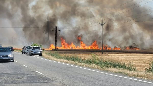 Z požiaru trávy v Leviciach sa chytilo pole s obilím, škoda za vyše 20.000 eur