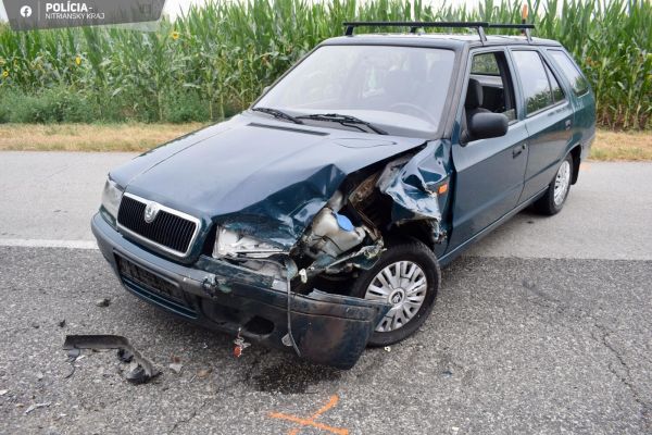 Pri obci Bajka s vozidlom čelne narazil do protiidúceho vozidla, nafúkal 1,60 promile a jazdil bez vodičáku