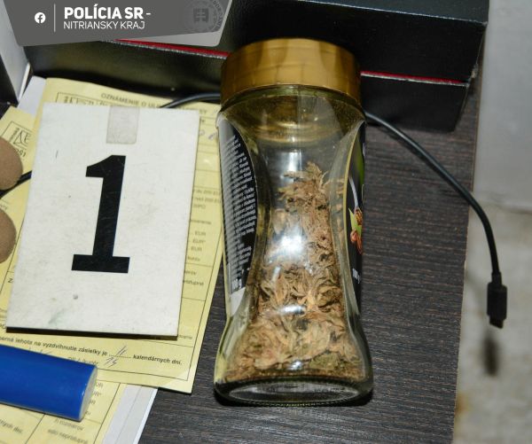 V Leviciach zadržali drogového dílera, rôzne drogy predával vo svojom dome