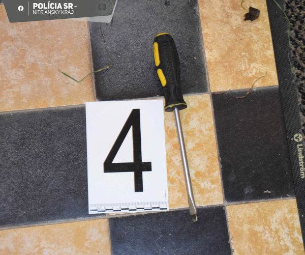 Levickí kriminalisti zadržali muža podozrivého zo série krádeží vlámaním, v okrese vykradol najmenej 5 škôl
