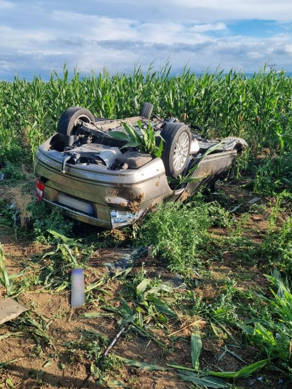 Tragická dopravná nehoda za Levicami smerom na Tlmače, vodič neprežil náraz do stromu