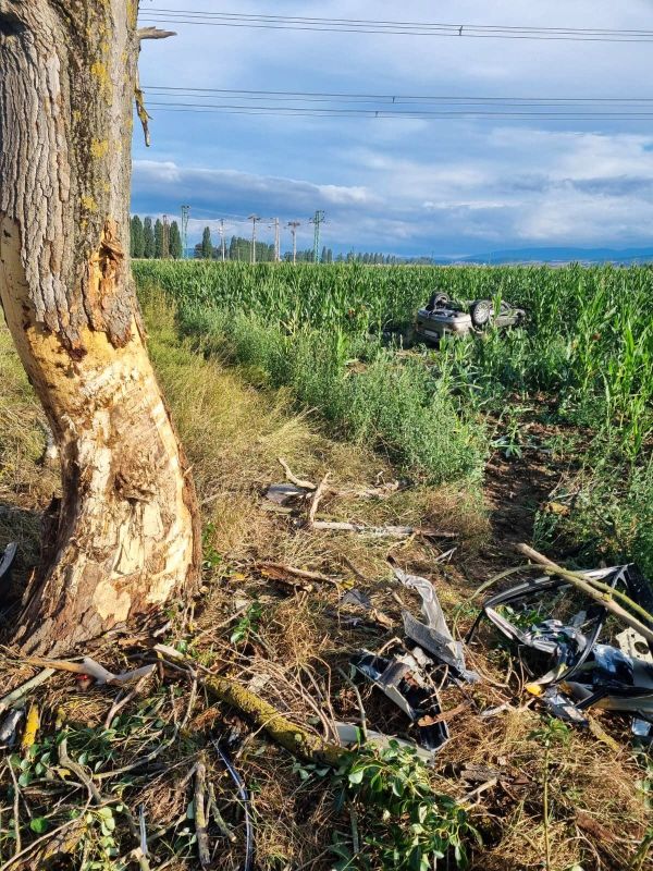Tragická dopravná nehoda za Levicami smerom na Tlmače, vodič neprežil náraz do stromu
