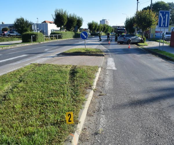 Vodička v Želiezovciach jazdila s takmer 2 promile alkoholu, s vozidlom narazila do stromu Vodička v Želiezovciach jazdila s takmer 2 promile alkoholu, s vozidlom narazila do stromu