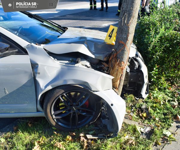 Vodička v Želiezovciach jazdila s takmer 2 promile alkoholu, s vozidlom narazila do stromu