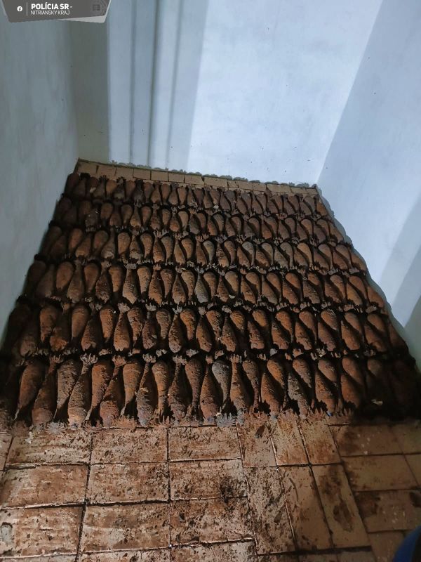 Pyrotechnici v obci Chľaba pri Štúrove vykopali zo zeme 180 kusov munície z 2. svetovej vojny