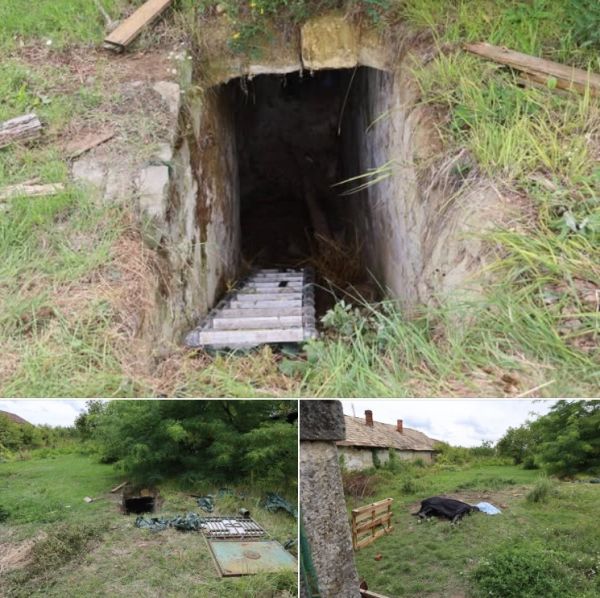 V katastri obce Mýtne Ludany mal v pivnici držať v zajatí kobylu bez potravy, vody a inej starostlivosti