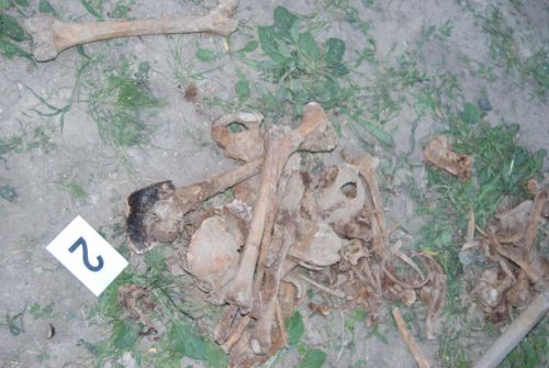 Na dvore v Jure nad Hronom našli dve ľudské kostry, 10.8.2012 + fotografie