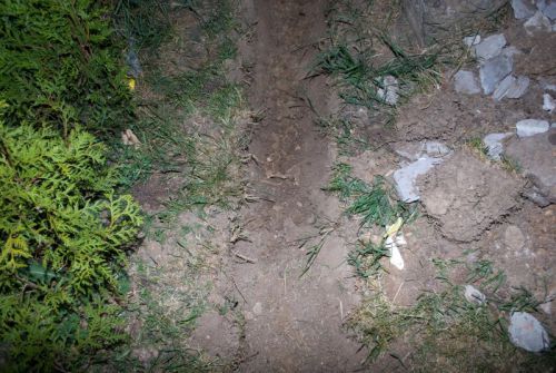 V záhrade pri dome našli ľudskú kostru, Starý Tekov, 31.5.2012