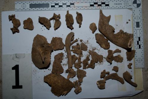 V záhrade pri dome našli ľudskú kostru, Starý Tekov, 31.5.2012