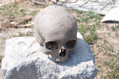 Nález ľudskej lebky na bývalom smetisku za Želiezovcami Nález ľudskej lebky na bývalom smetisku za Želiezovcami