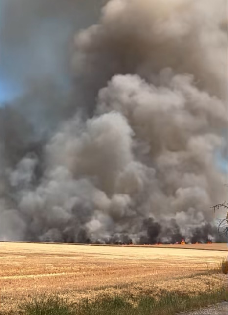 Požiar pola s obilím v katastri obce Podlužany pravdepodobne spôsobil pracovný stroj, škoda 20.000 eur Požiar pola s obilím v katastri obce Podlužany pravdepodobne spôsobil pracovný stroj, škoda 20.000 eur