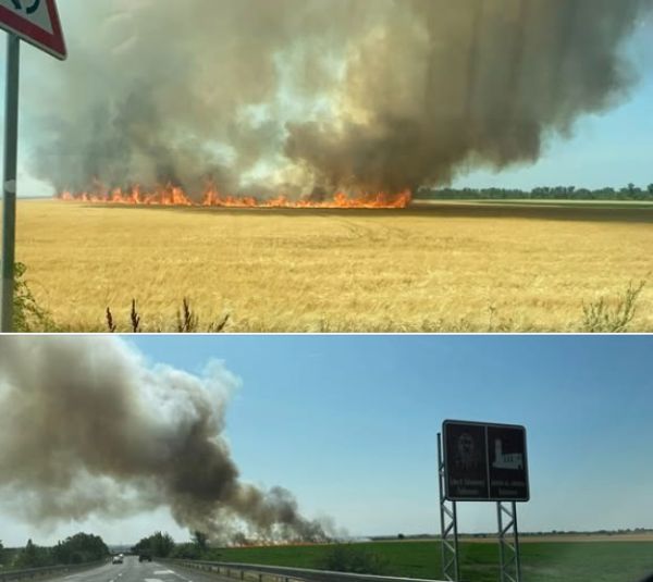 Pri Šarovciach vedľa kruhového objazdu horelo pole, vznikla škoda za 10.000 eur (video) Pri Šarovciach vedľa kruhového objazdu horelo pole, vznikla škoda za 10.000 eur (video)