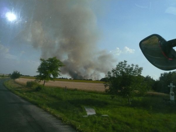 Pri Veľkých Ludinciach zhorela úroda obilia na ploche takmer 50 ha
