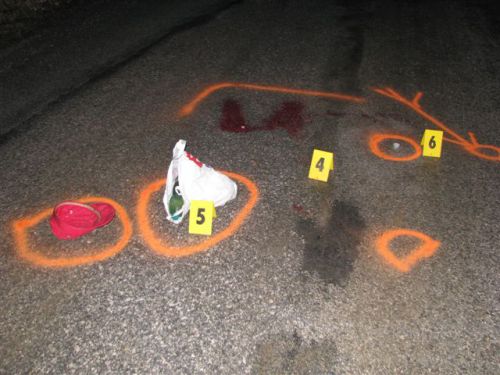 Pátranie po bezohľadnom vodičovi, ktorý zrazil chodca a z miesta ušiel, 22.12.2011, Tekovské Lužany, Plavé Vozokany