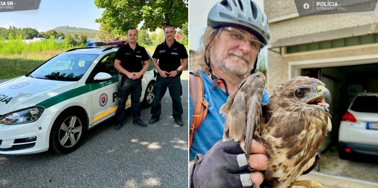 Cyklista a policajti v Tlmačoch zachránili zraneného dravého vtáka Cyklista a policajti v Tlmačoch zachránili zraneného dravého vtáka