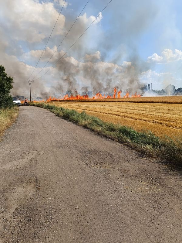 Za Levicami horelo pole, okoloidúci natočili hrôzostrašné zábery ničivého živla
