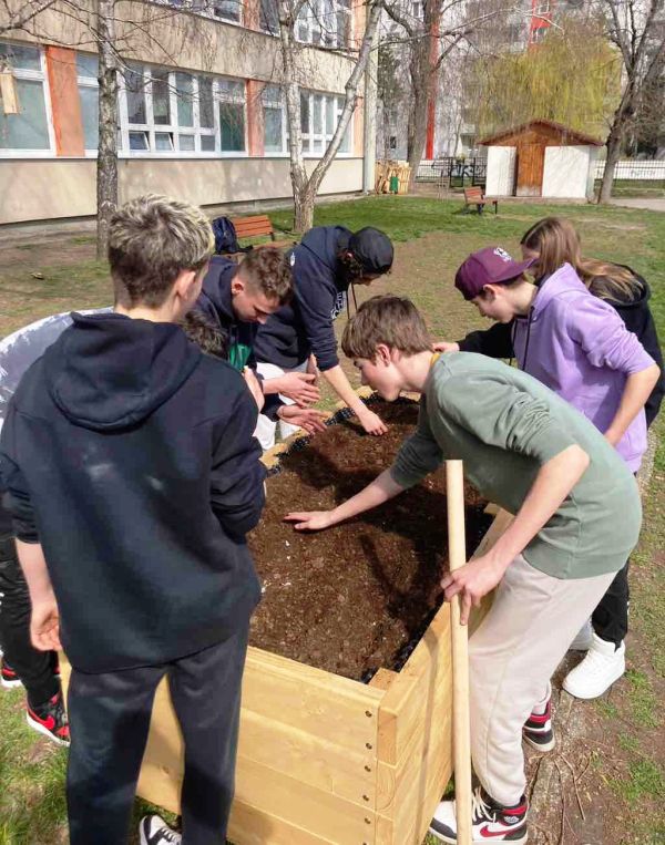 Na ZŠ, Pri Podlužianke 6, Levice vybudovali vlastné záhony a vypestovali v nich zeleninu Na ZŠ, Pri Podlužianke 6, Levice vybudovali vlastné záhony a vypestovali v nich zeleninu