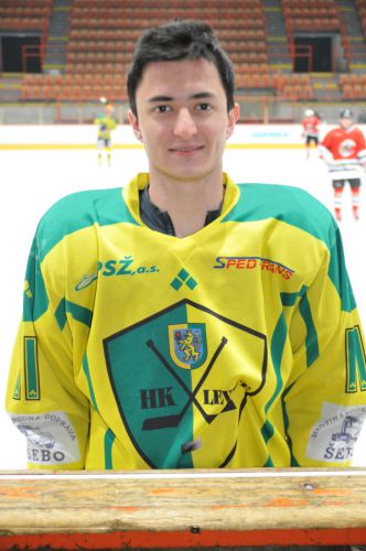 Anketa o najsexi levického hokejistu