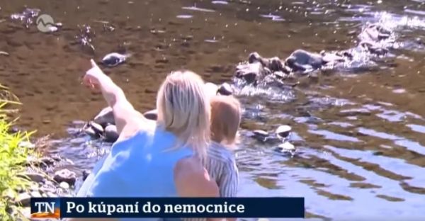 Po kúpaní v Hrone pri ocbi Hronský Beňadik skončili v nemocnici (video)