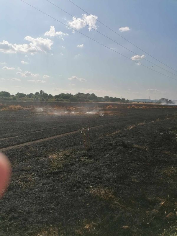 Za Levicami horelo pole, okoloidúci natočili hrôzostrašné zábery ničivého živla