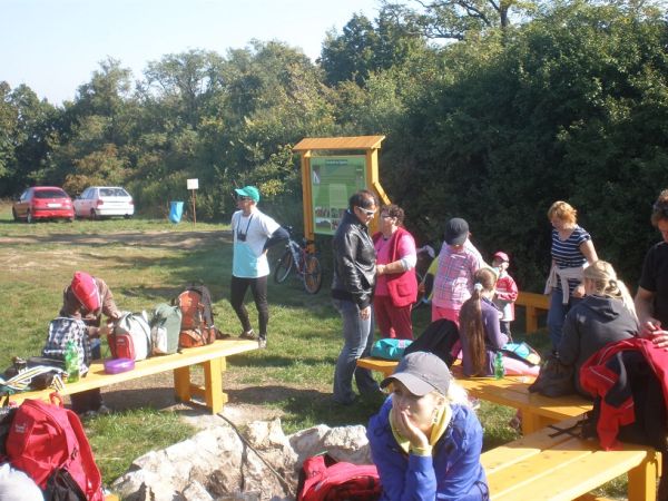 siklos opat ozil 20131001 1093717893