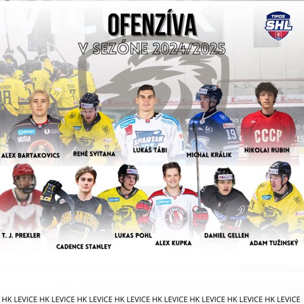 Levickí hokejisti budú hrať opäť 1. ligu