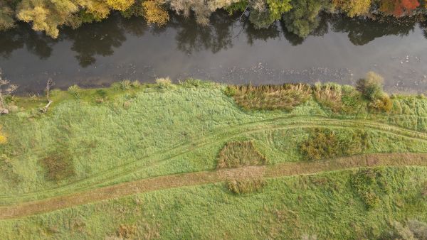 Na brehu rieky Ipeľ v Šahách odštartovali výsadbu stromov a krov v rámci projektu Prepojená krajina