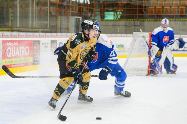 Levickí hokejisti sú po 14 dueloch lídrami tabuľky Tipos SHL Levickí hokejisti sú po 14 dueloch lídrami tabuľky Tipos SHL