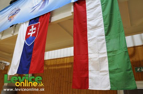 Slovenská mužská basketbalová reprezentácia hladko prehrala s Maďarmi, 3.8.2012