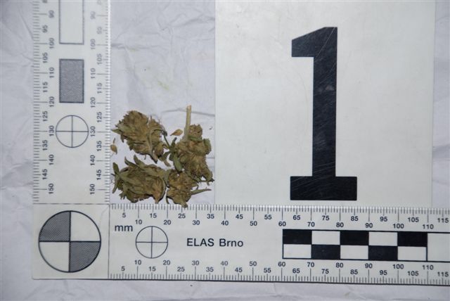 U mladíka v Tlmačoch našli drogu - expertíza potvrdila marihuanu
