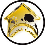 útulok levice, oz verná labka