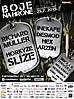 Festival Boje na Hrone 2015, 25.7.2015