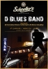 koncert D Blues Band, 29.1.2011, Shoeller pub Levice