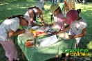 Country Fest Levice 2011