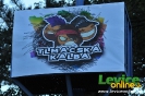 Festivaly