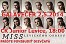 Miss Levického okresu 2014 - galavečer_1