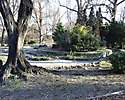 Park M.R.Štefánika, Levice_4