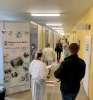 V Leviciach otvorili Veľkokapacitné očkovacie centrum